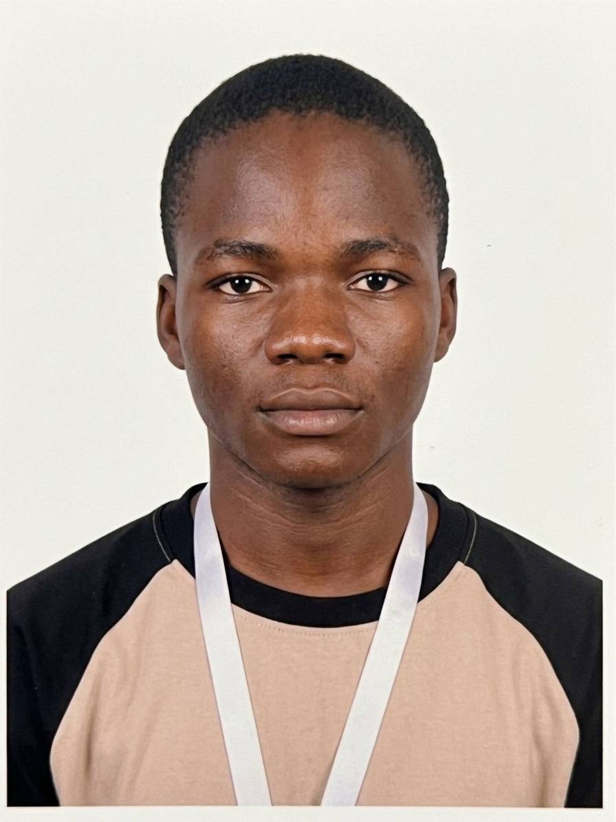 David Mayube - Business Strategist at SHB INC LTD