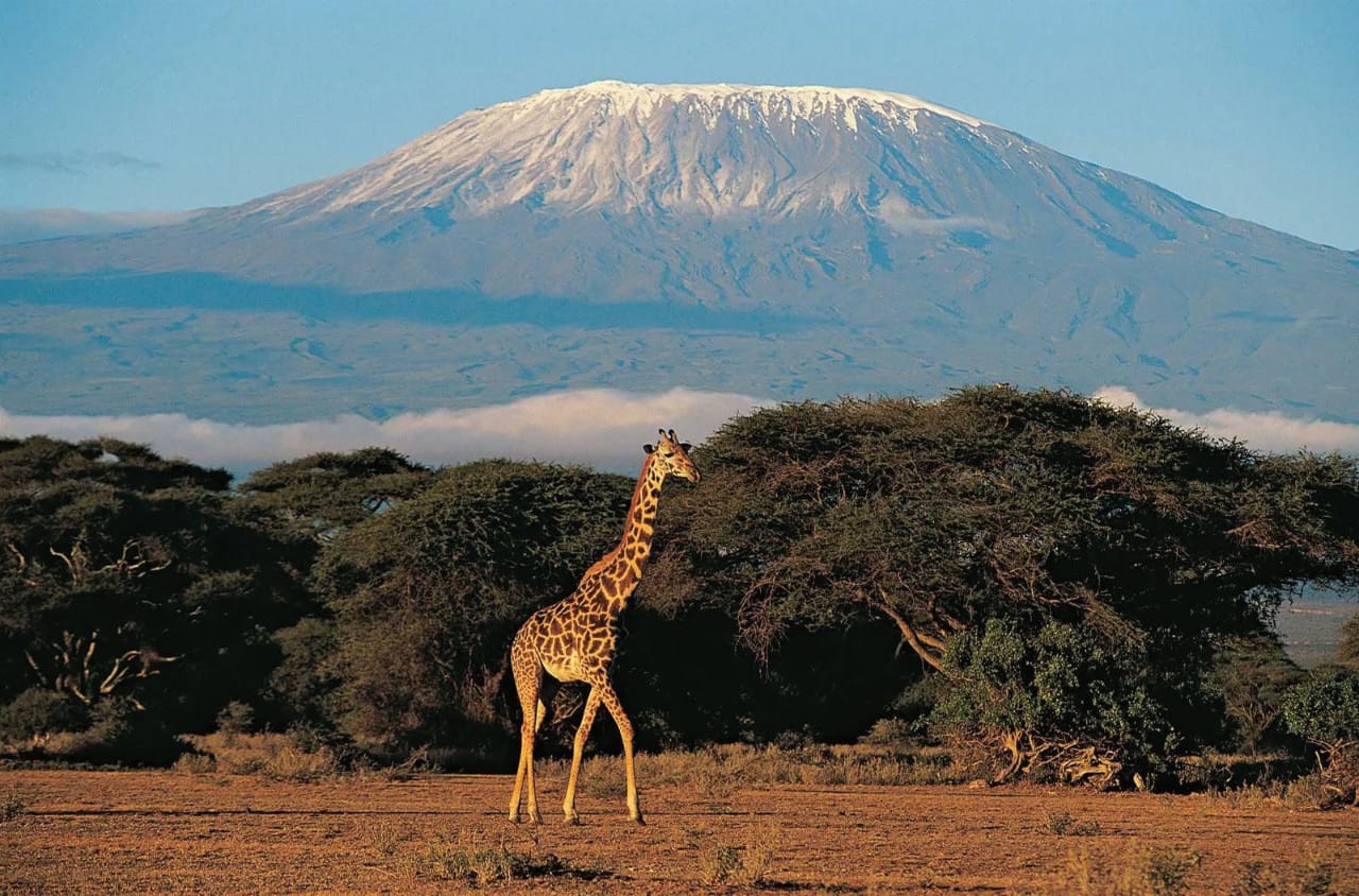 Brand Tanzania Initiative